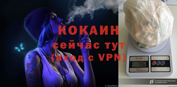 экстази Ветлуга