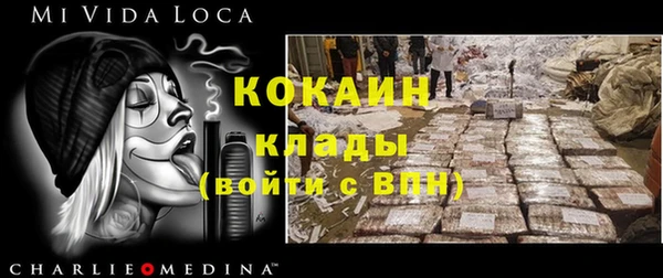 МДПВ Вяземский