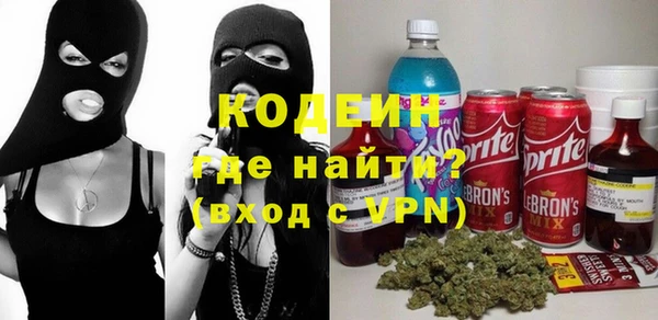 МДПВ Вяземский