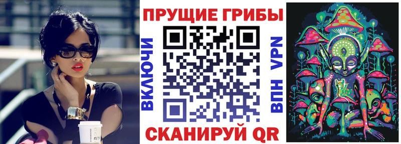 дарк нет наркотические препараты  Галич  Псилоцибиновые грибы Psilocybe  закладки 